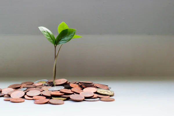 Verificación de plan de ahorro